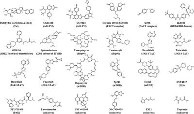 Toward a Functional Cure for HIV-1 Infection: The Block and Lock Therapeutic Approach